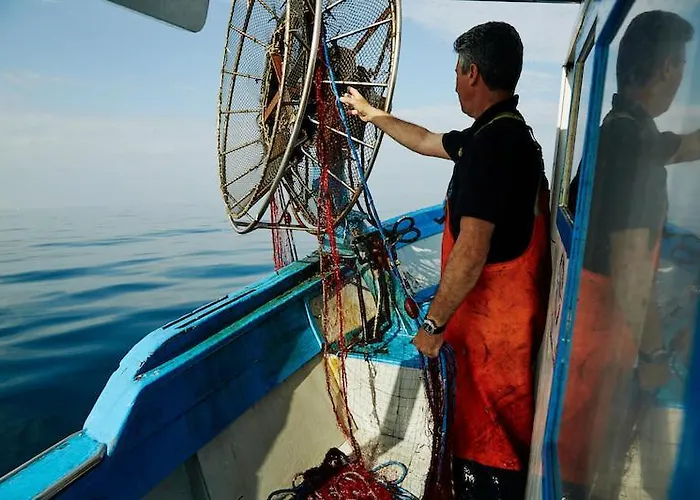 Corte Aragonese Privata